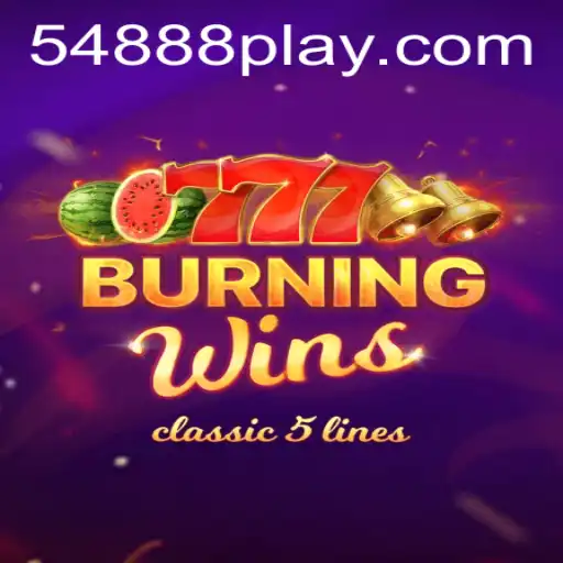 54888 Blackjack